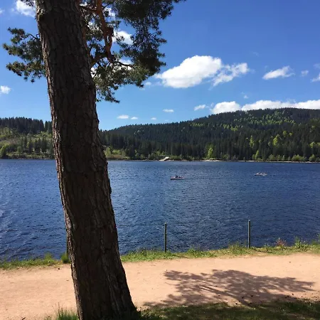 شقة Schwarzwaldglueck