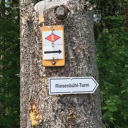 Schwarzwaldglueck * سشلوشسي