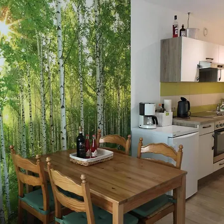 Schwarzwaldglueck Apartman *