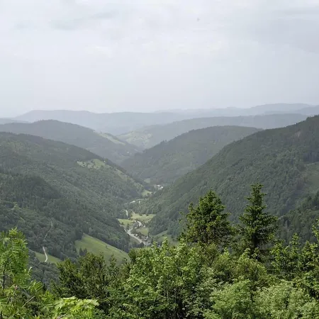 Schwarzwaldglueck