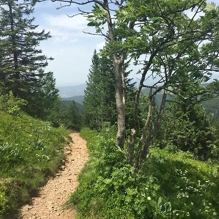 Schwarzwaldglueck شقة