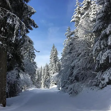 Schwarzwaldglueck شقة