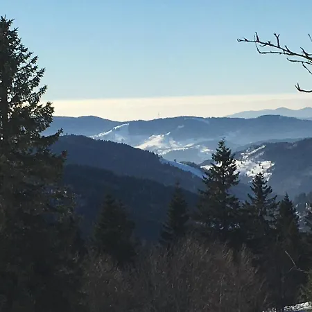 Schwarzwaldglueck * Schluchsee