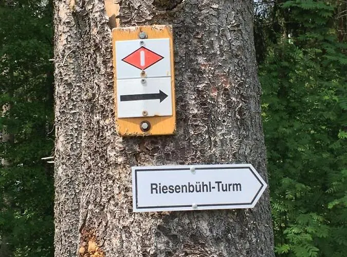 Schwarzwaldglück * Schluchsee