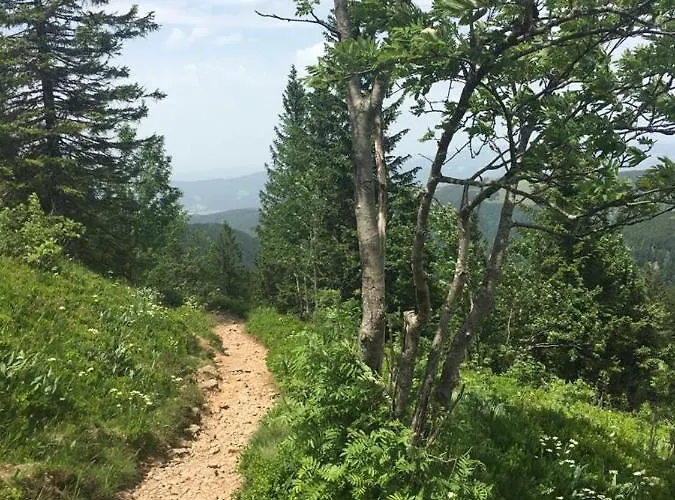 Schwarzwaldglueck アパート