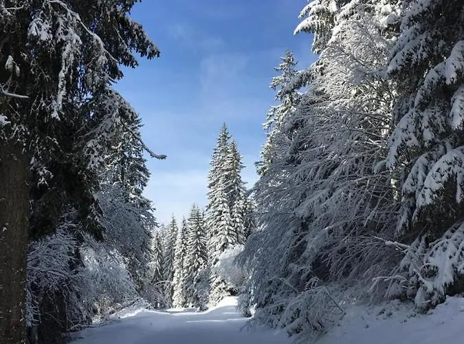 Schwarzwaldglueck アパート