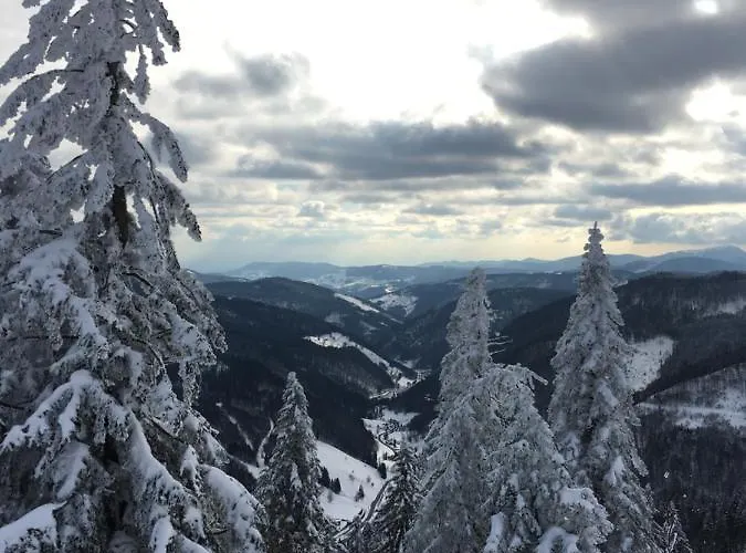 Schwarzwaldglueck アパート シュルッフゼー