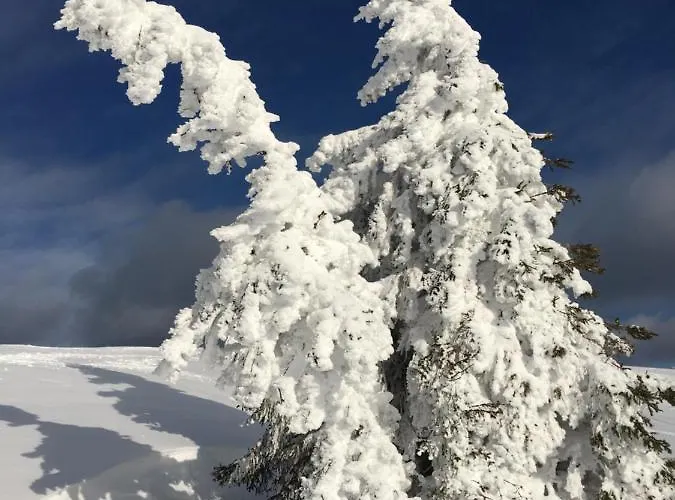 アパート Schwarzwaldglueck *