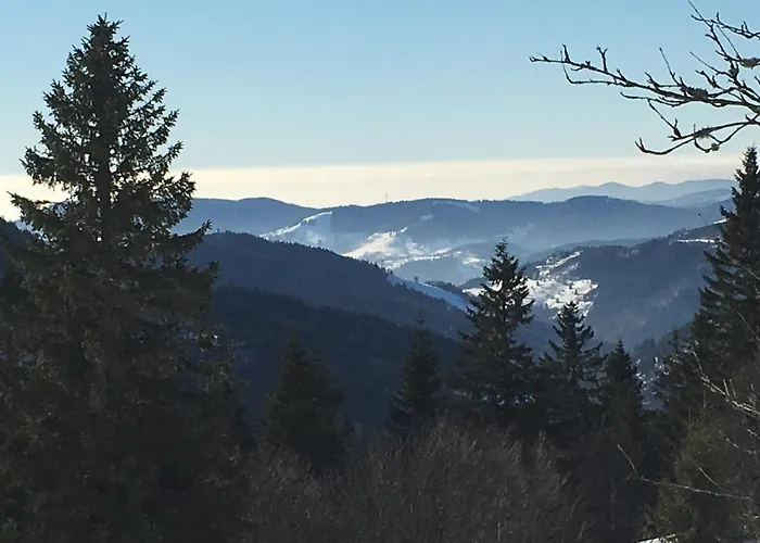 Schwarzwaldglueck * シュルッフゼー